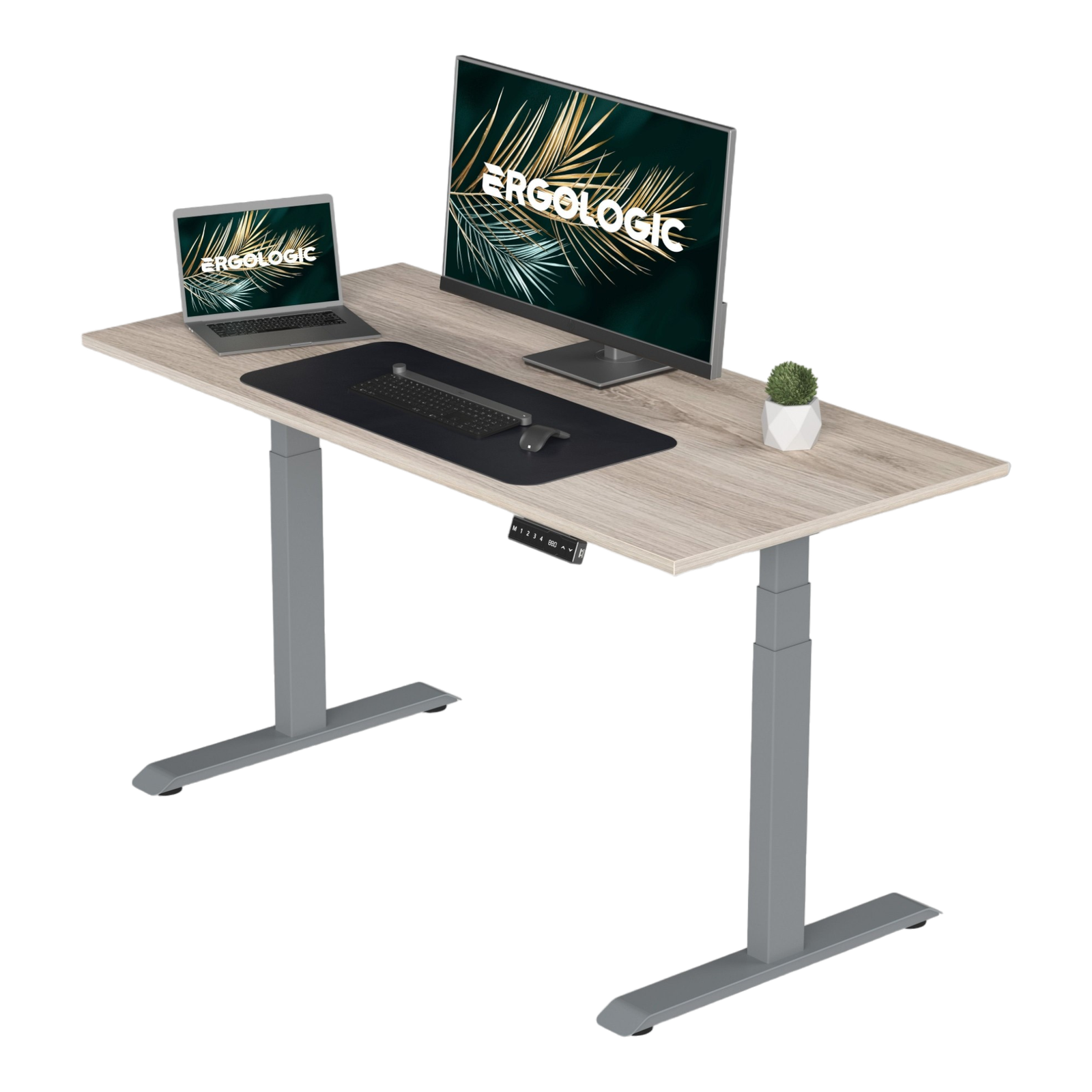 EL002-SGR-P-LO-1200X600 Ergologic imported Dual Motor 3 Stage GREY Color Desk Electric hydraulic Height Standing Adjustable Desk Frame Two Stage office motorized automatic Table Premium Quality
