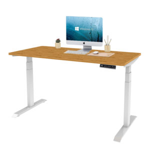 EDesk Dual Motor Height Adjustable Table