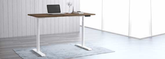 EDesk India Ergologic Height Adjustable Desk Frame1